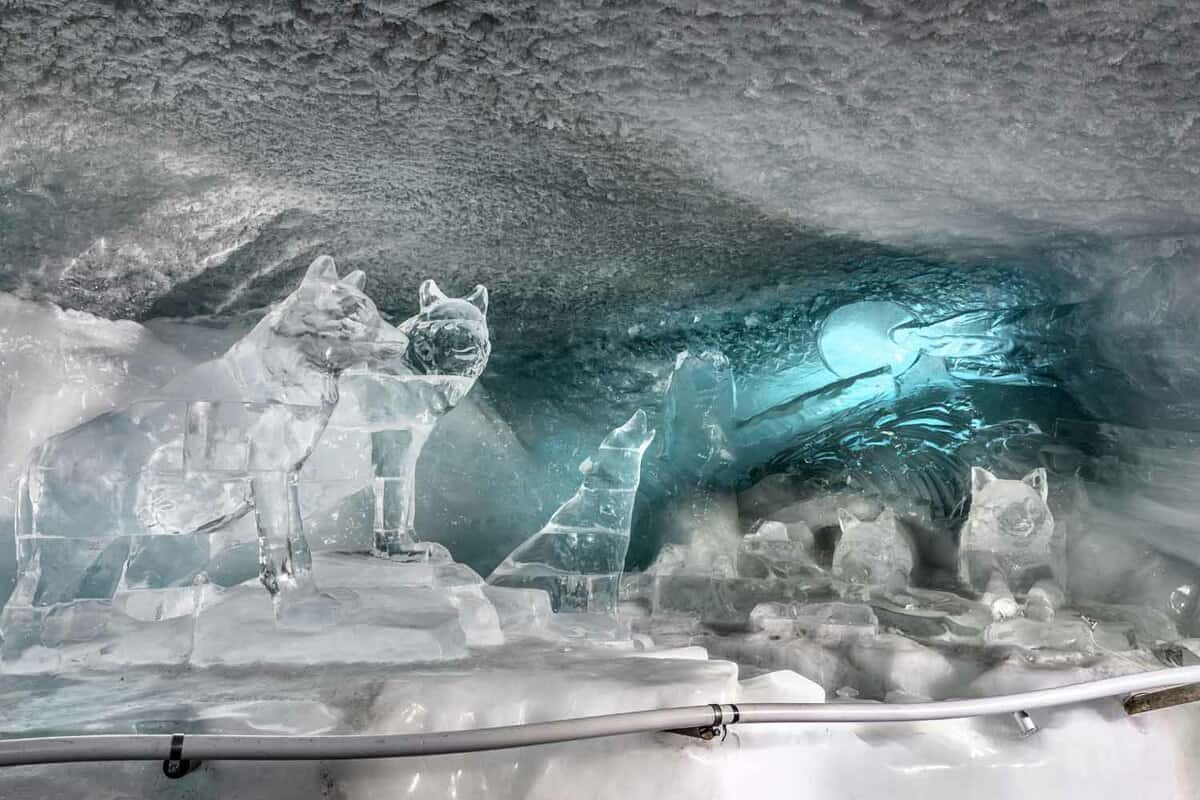 Glacier Expedition